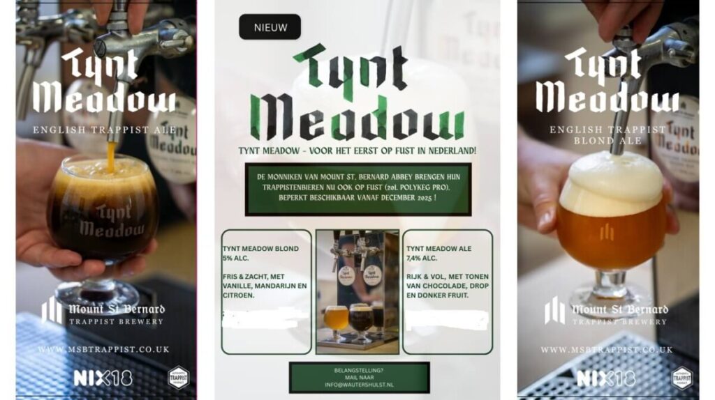 Tynt Meadow Blond
