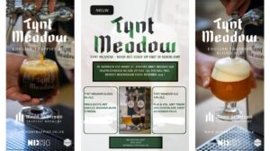 Tynt Meadow Blond