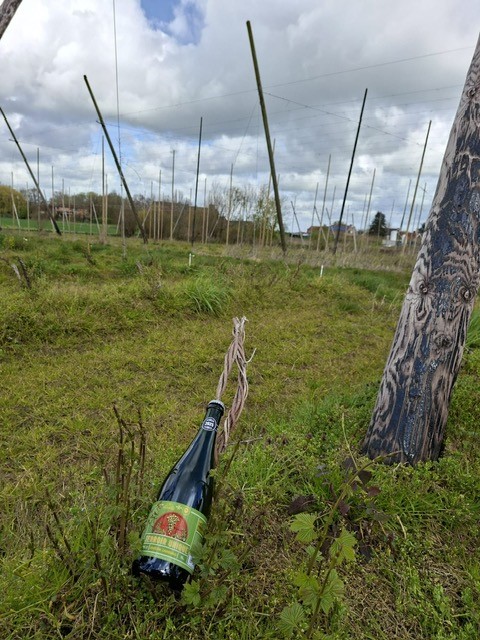 Terroir Unique